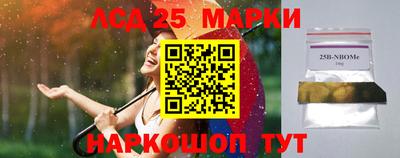 скорость Заволжье