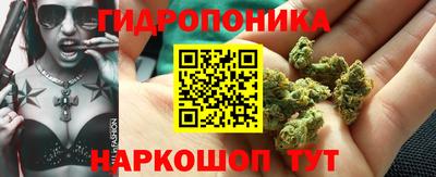 хмурый Дубна