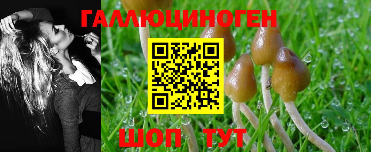 Псилоцибиновые грибы мухоморы Магнитогорск